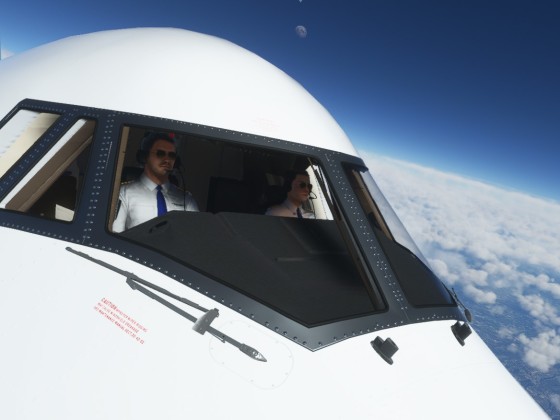 Le détail de flight simulator