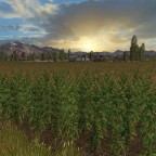 Goldcrest Valley Gold by LBDT Gaming